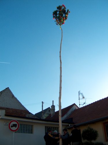 Stavění máje - 30.4.2007